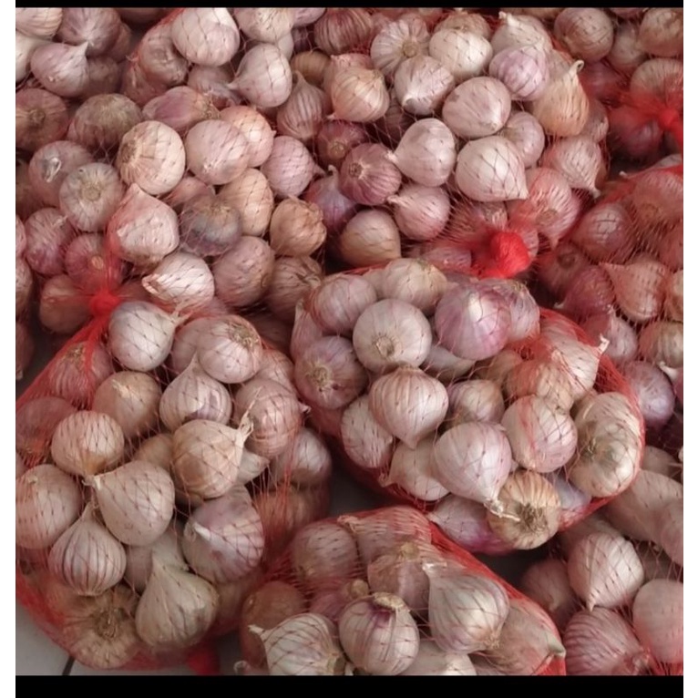 Bawang putih tunggal/Bawang putih lanang 1kg