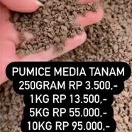 Pumice Batu Apung Media Tanam Kaktus 1KG