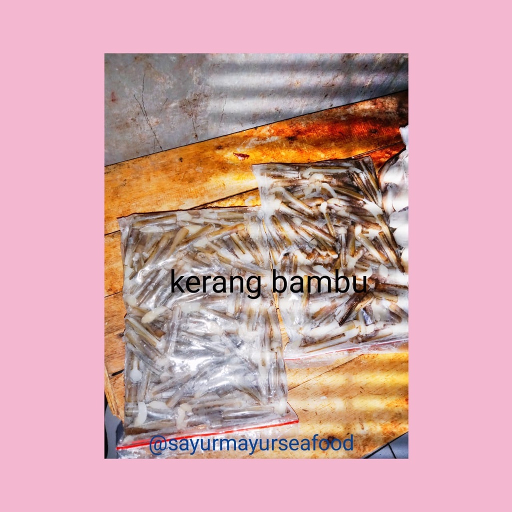 

kerang bambu