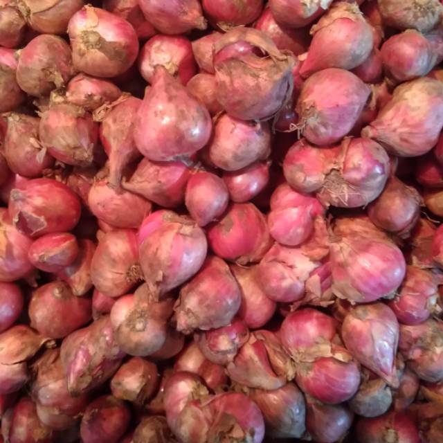 

BAWANG MERAH SUPER/1KG
