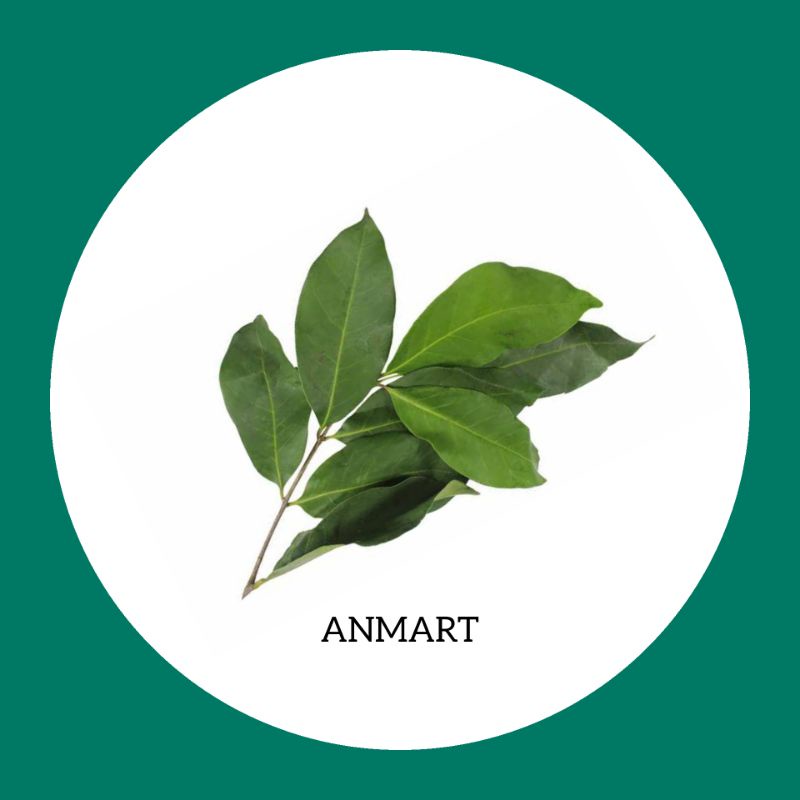 

ANMART | 1 ikat Daun Salam | Sayur Online | Bumbu Rempah