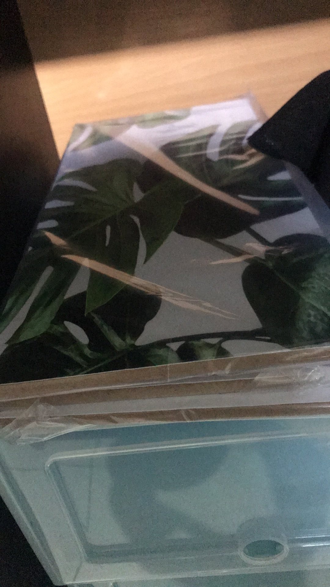 Poster Kayu Vintage Dekorasi Rumah Cafe Kantor Hiasan Dinding Tanaman Bunga Abstrak