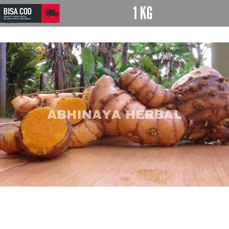 

TEMULAWAK FRESH - TEMULAWAK SEGAR BERKHASIAT 1KG