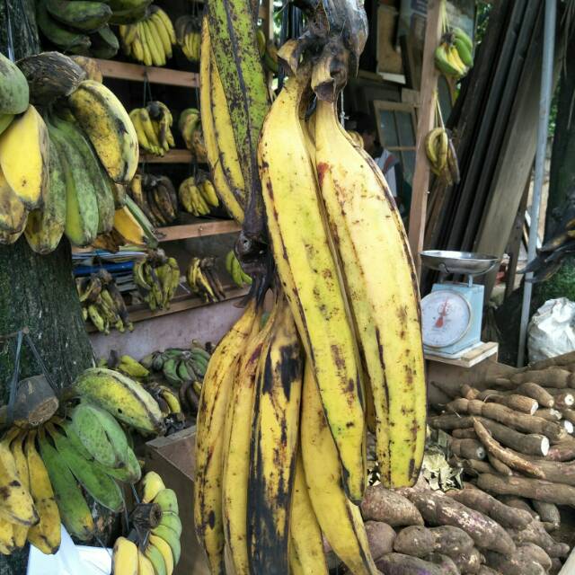 

Pisang Tanduk Satuan