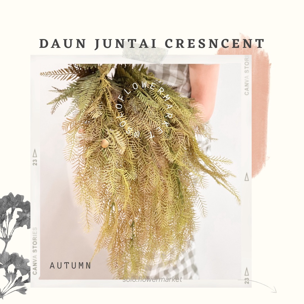 DAUN JUNTAI CRESCENT HANGING GRASS  Aksesoris Juntai Star Premium Artificial Dekorasi  Daun Rambat B