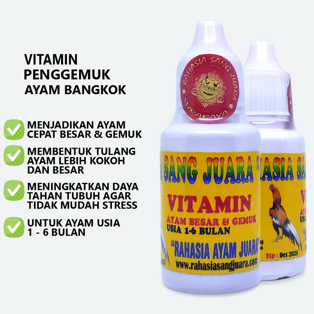 PENGGEMUK AYAM BANGKOK OBAT PENGGEMUK AYAM CEPAT BESAR DAN GEMUK UMUR 1 BULAN SAMPAI 6 BULAN