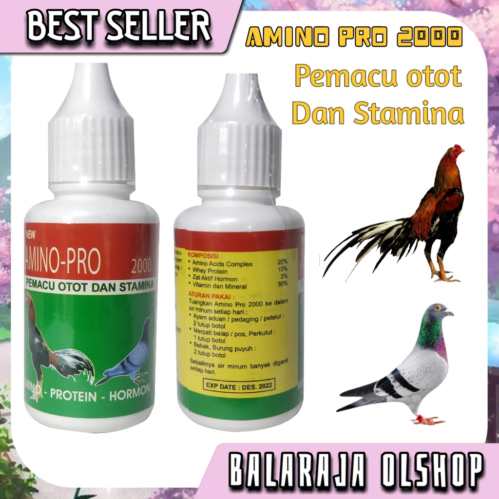 VITAMIN AYAM JAGO PENAMBAH NAFSU MAKAN OBAT BURUNG DARA MERPATI AMINO PRO 2000