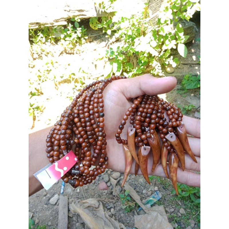 kalung kokka kuku macan asli 100% kaukah