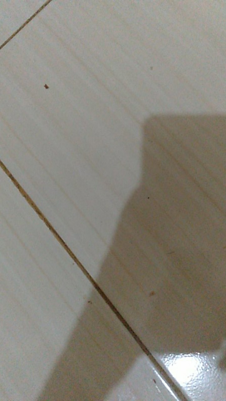 Batlk Daharriyin Jaya | Kemeja Batik Pria Lengan Panjang New 848vo 4029yks Batik