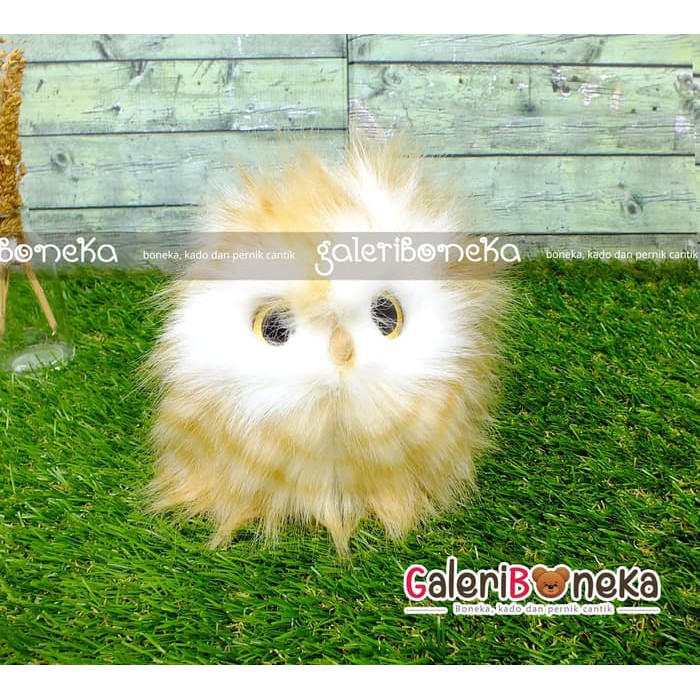 Boneka Burung Hantu - Owl Buntel &#40; Hk - 579130 &#41; | Shopee Indonesia