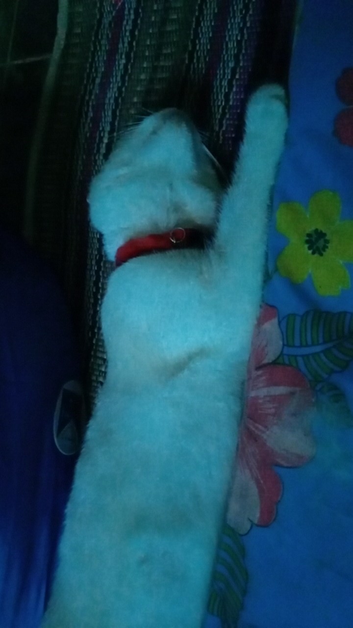 Handuk Mandi 70x140 Cm High Quality / Daya Serap Yang Bagus (100% Microfiber) Tanpa Dus