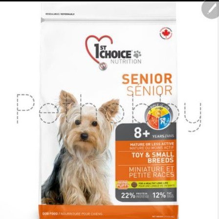 Dog Food 1st choice Senior Toy/ Small Breed Chicken 2.72kg