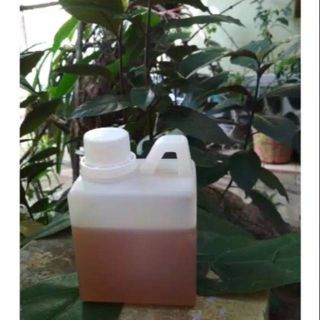 

madu odeng madu hutan asli 500 gr