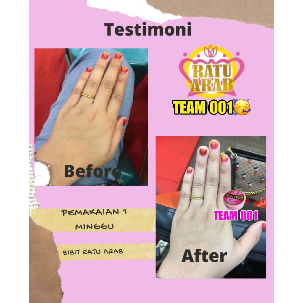 BIBIT RATU ARAB ORIGINAL ASLI (GROSIR)