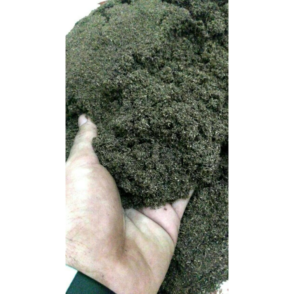 Sphagnum Peatmoss (Fine)