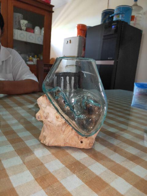 Glass On Wood Vase S - Kaca D12cm / Pot Kaktus / Pot Kecil / Aquarium / Kaca Tiup