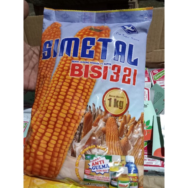 BENIH JAGUNG BISI 321SIMENTAL