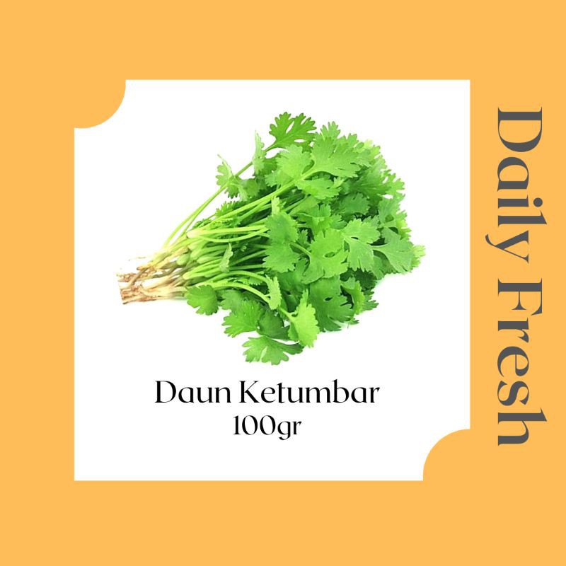 

Sayuran Segar Daun Ketumbar 100gr Coriander leaf