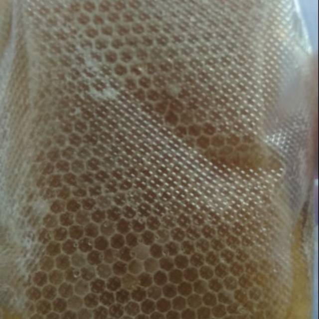 

Madu sarang 500gram