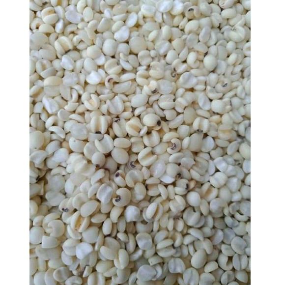 

SHOPEE MALL BARLEY/BIJI JALI JALI LOKAL/HANJELI SUPER 1KG .,.,.,.,