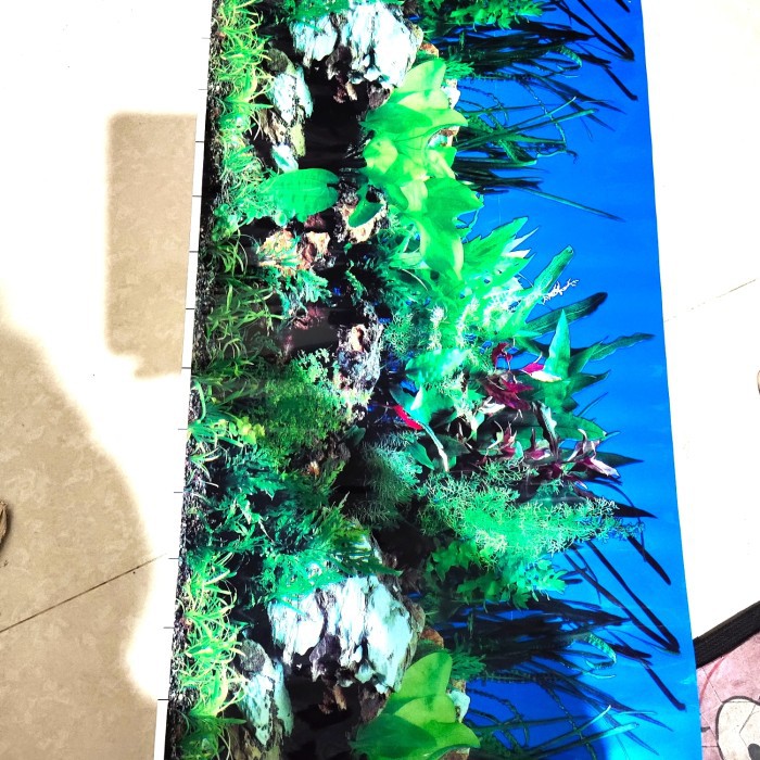 Background Aquarium / Gambar Latar Aquarium 50cm