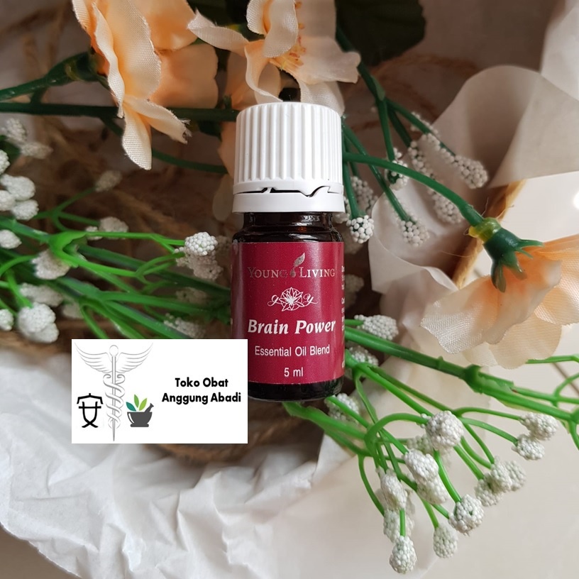 YL Minyak Esensial / Essential Oil Brain Power 5ML SEGEL