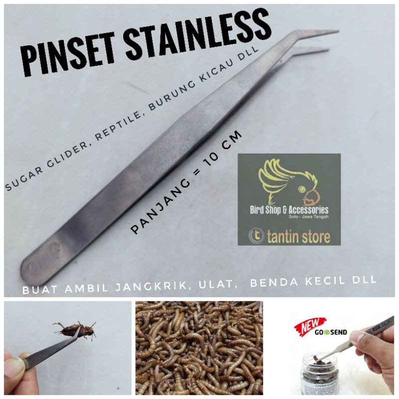 Jual Pinset Penjepit Stainles Untuk Burung Sugar Glider Reptile Ikan ...