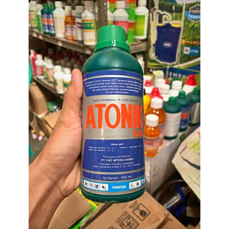 ATONIK 6.0 L 500ml pupuk daun