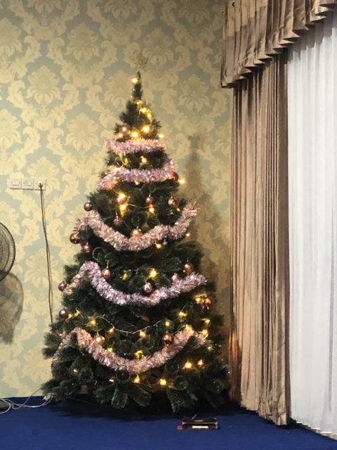 Pohon Natal Premium Murah 2 Meter 7 Feet Pine Christmas Tree Jarum Polos Salju Gold Emas