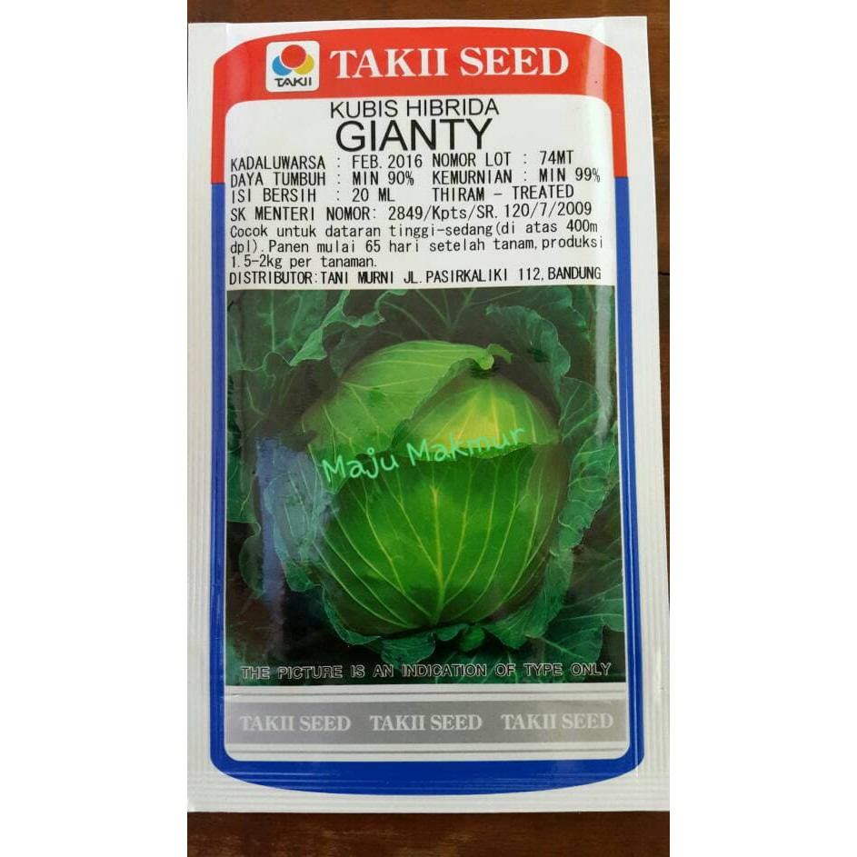 Bibit Kubis Takii Gianty - 20 ml