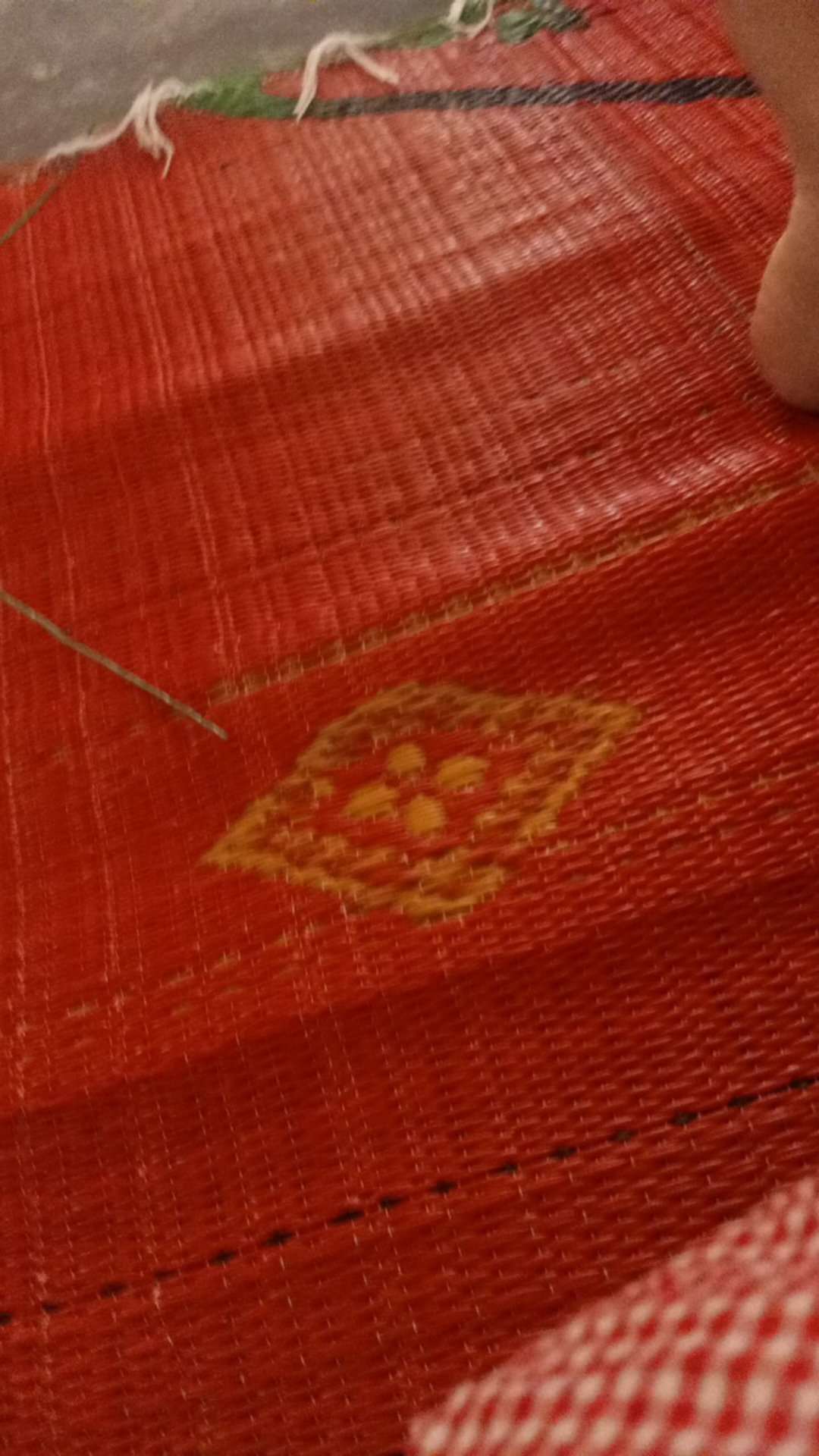 Paku Payung  - Paku Pinus Isi 25 Kd64