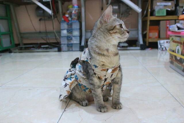 Dress batik bunga coklat lucu untuk kucing dan anjing size S M L XL