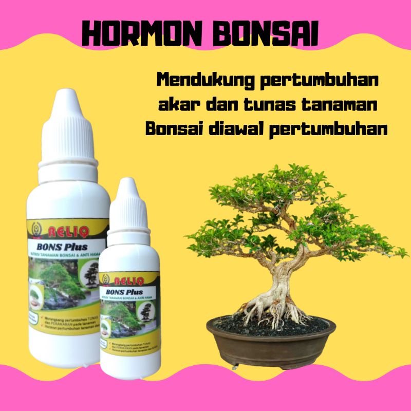 Pupuk Bonsai Kelapa Agar Subur, HORMON BONSAI, Pupuk Bonsai Terbaik