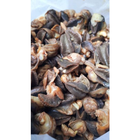 

daging bekicot (02)