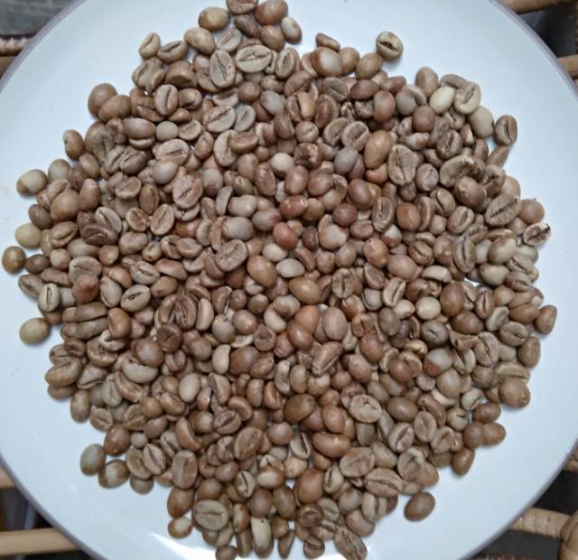 

Green Bean Robusta Lampung, siapp Roasting