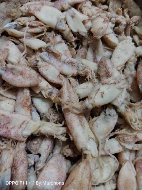 

Baby cumi kering asin 250gram Rp 30.000