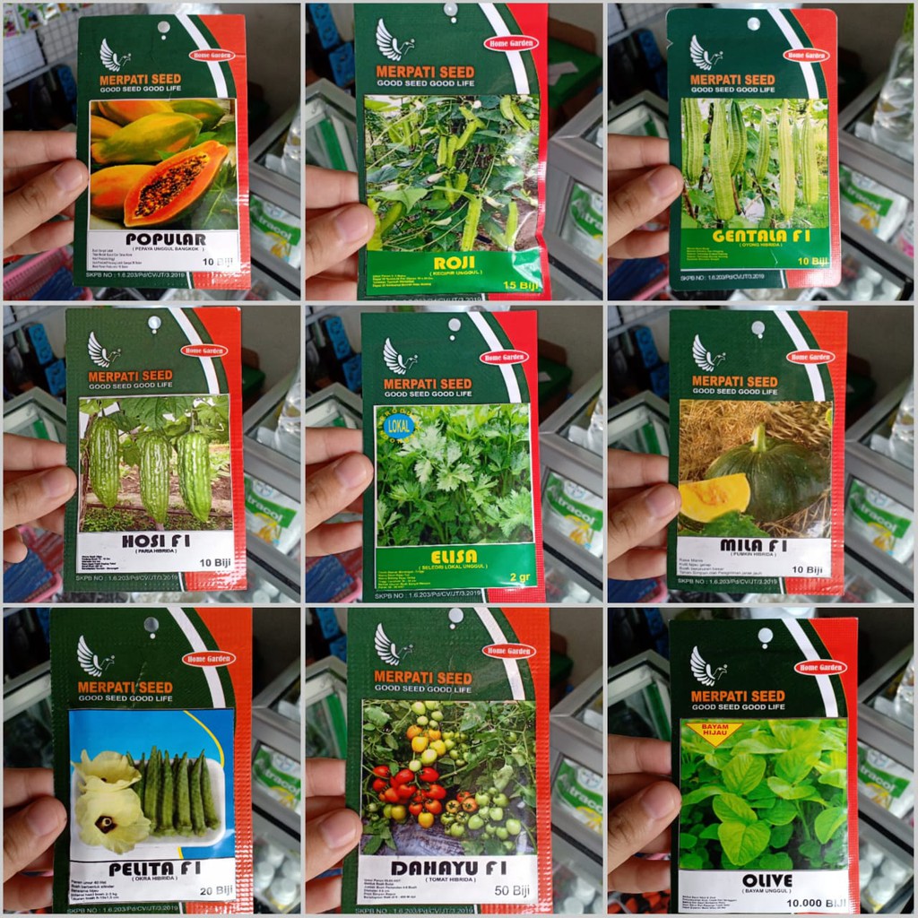 oyong, semangka, terong, kemangi, labu, selada, cabai pelangi, pepaya, kecipir, wortel -merpati seed