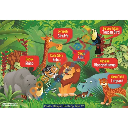 Poster Pelestarian Hewan Dan Tumbuhan Yang Mudah Digambar Semua Tentang Informasi Poster