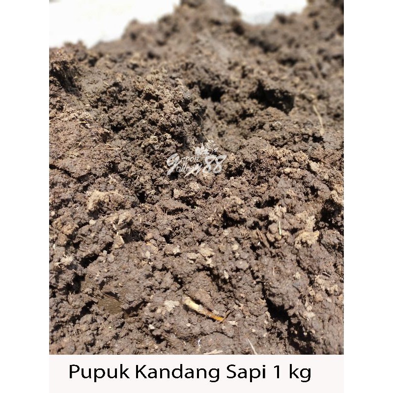 Kotoran Sapi / Pupuk kandang - 1 kg