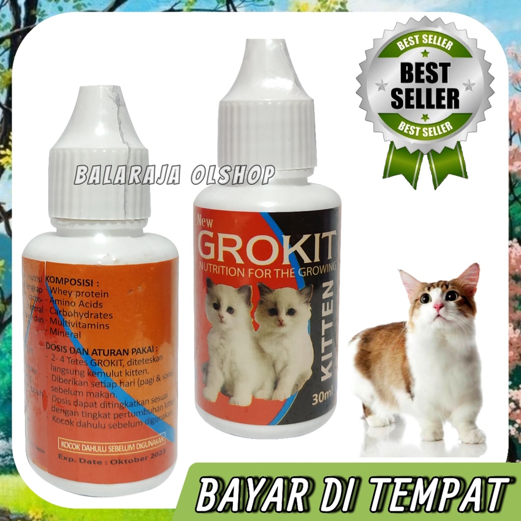 Vitamin Anak Kucing Untuk Meningkatkan Pertumbuhan Kucing Penambah Nafsu Makan - GROKIT