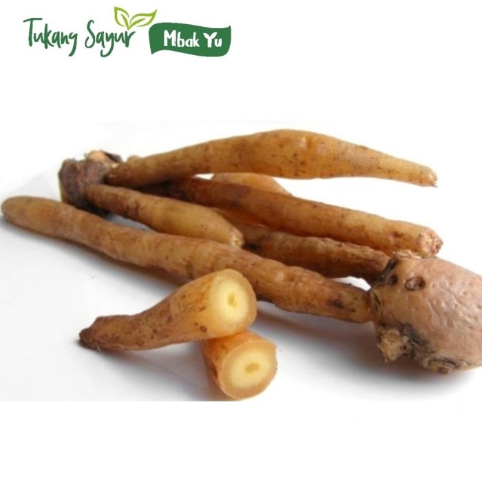 

Temu kunci segar 250gr