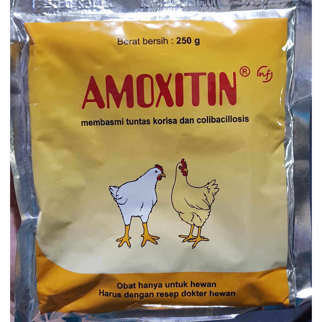 Jual Amoxitin Gram Obat Ayam Pilek Ngorok Korisa Dan Colibacillosis