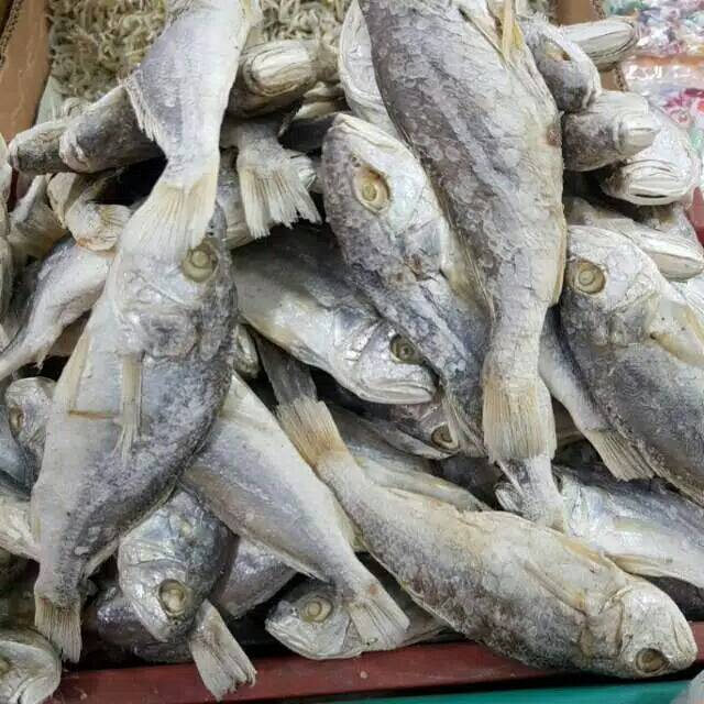 

Ikan asin kepala batu