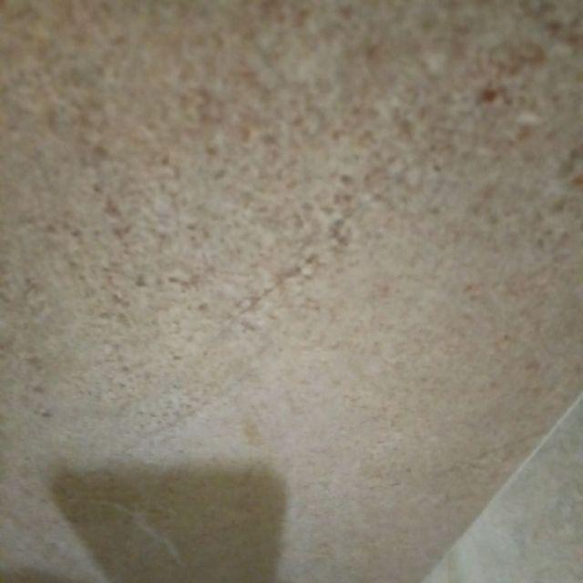 Paket 2pcs Nampan Alas Tray + 2pcs Tray Semai 128 Lubang