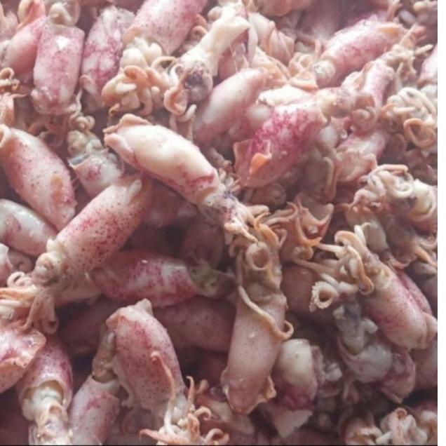 

PROMOSI !! 9.9 ikan asin cumi beby 250grm super [KODE 771]