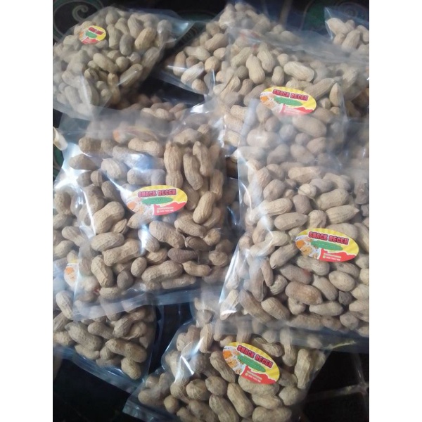 

Kacang kulit