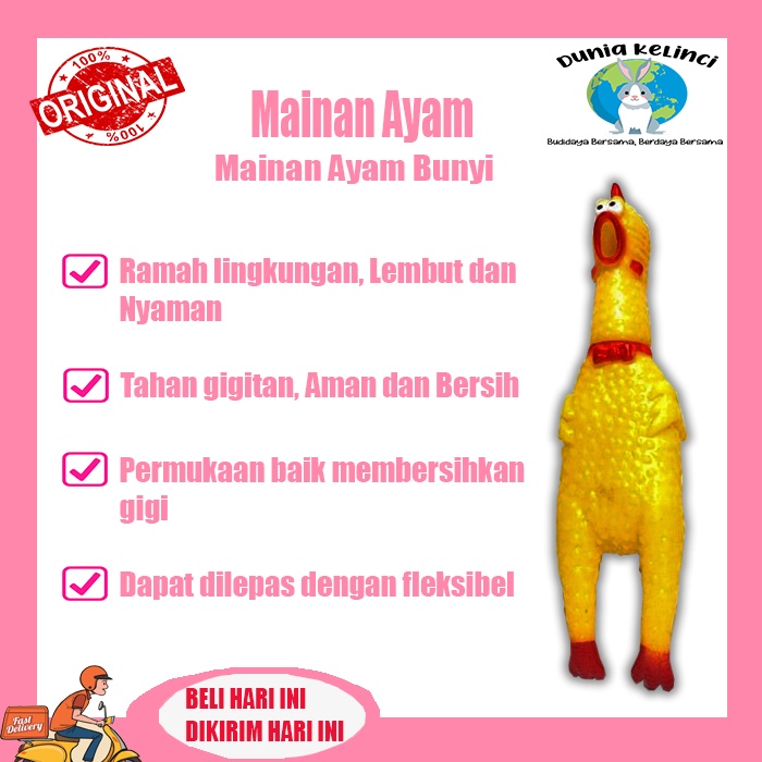 Mainan Hewan Ayam Bunyi Squeaky Toy CaT Kucing Anjing