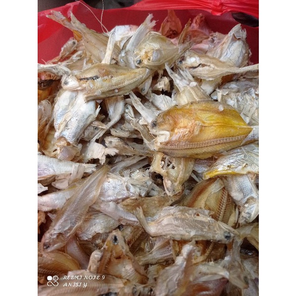 

ikan gereh kering khas pati