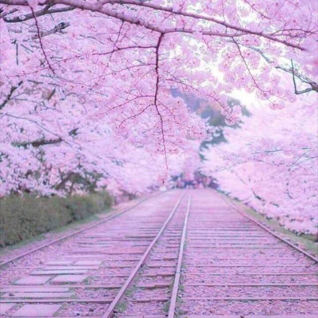 dyahrizkynurullestari