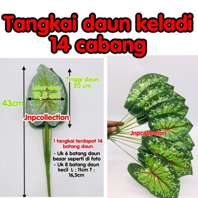  Bunga  hias  tangkai daun keladi cabang 14 Shopee  Indonesia